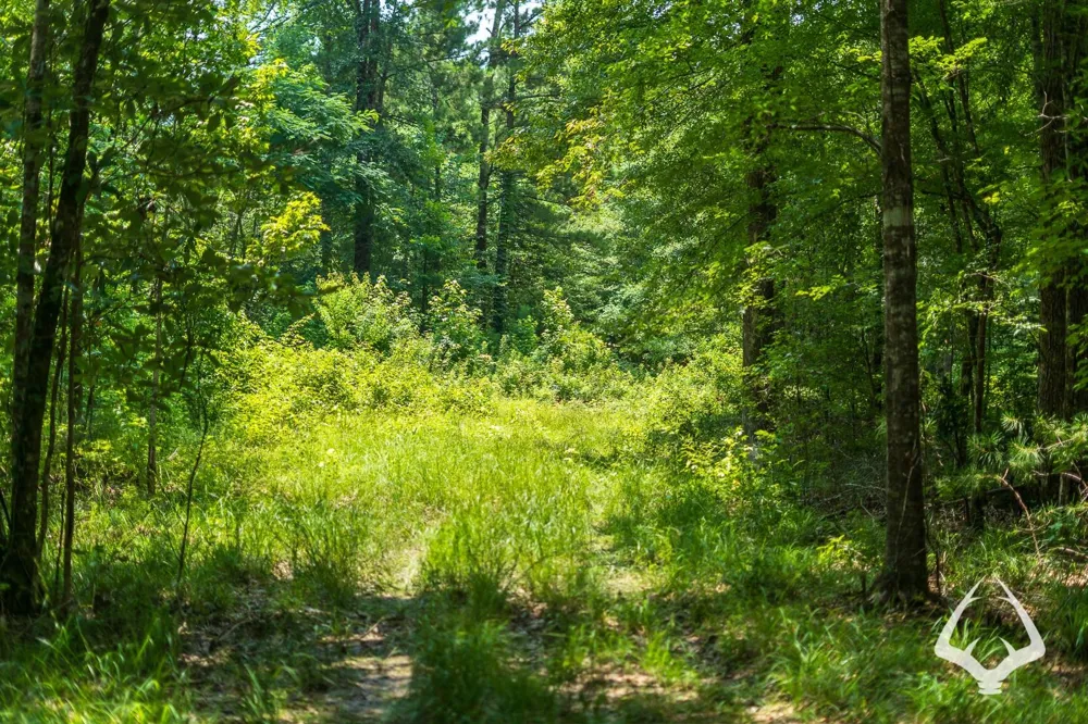 County Road 1058 Jasper, TX 75977