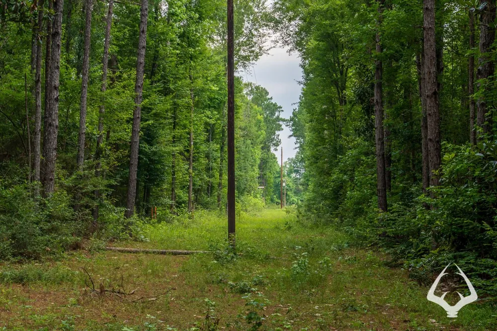 County Road 1058 Jasper, TX 75977