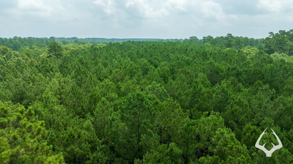 County Road 1058 Jasper, TX 75977