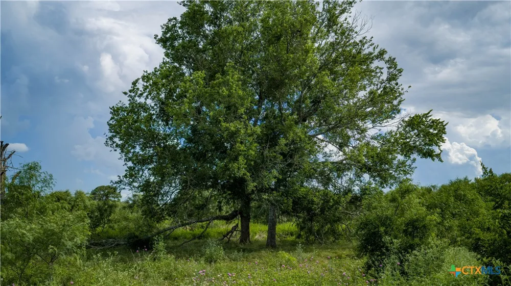 173401 Fargoer Way Marion, TX 78124