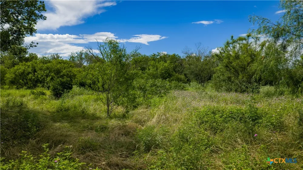 173401 Fargoer Way Marion, TX 78124