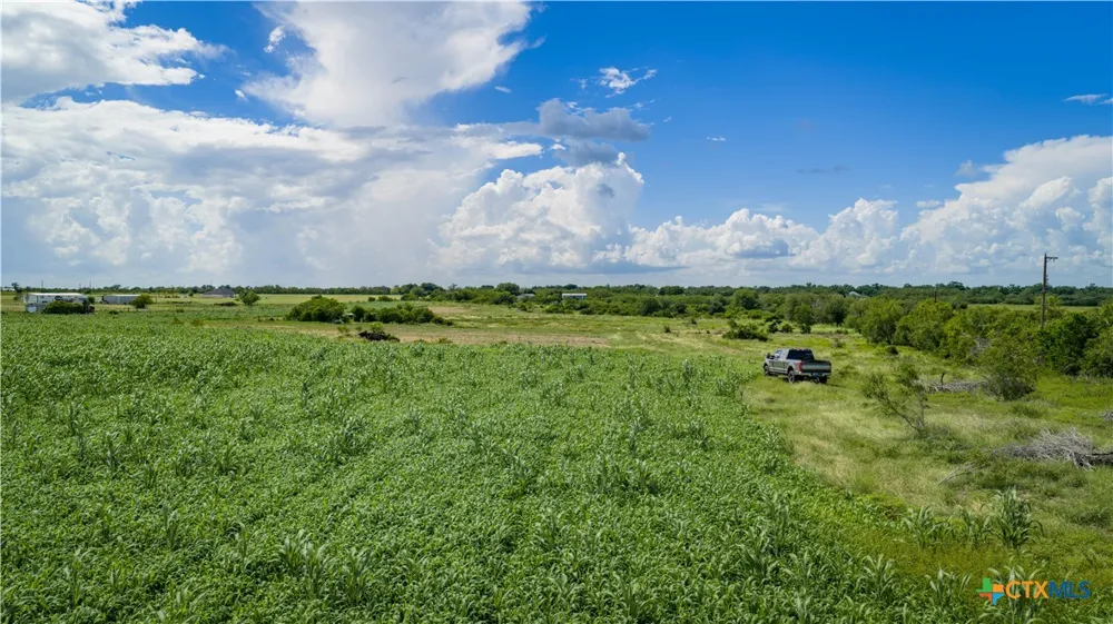 173401 Fargoer Way Marion, TX 78124