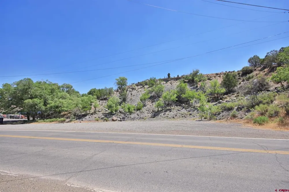 57 1/2 ROAD Collbran, CO 81624