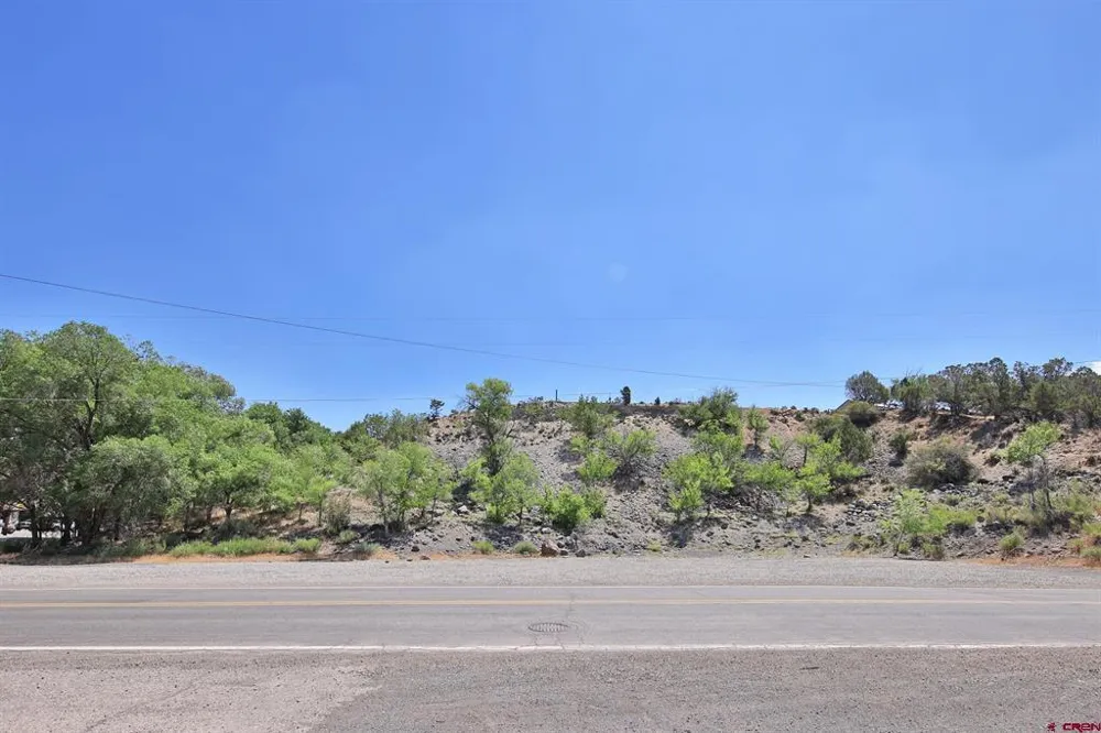 57 1/2 ROAD Collbran, CO 81624