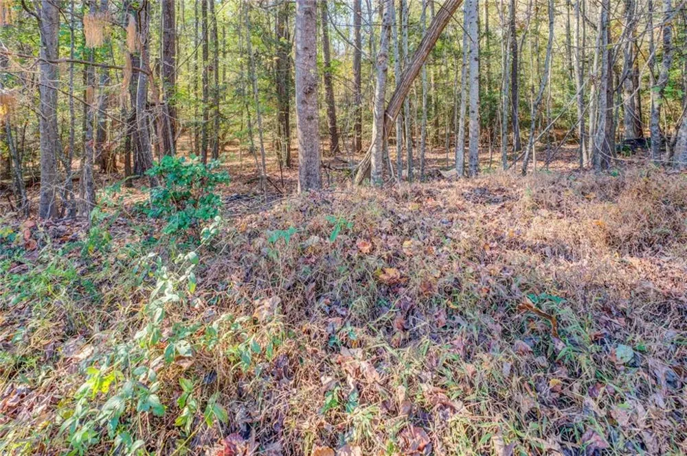 1470 River Station Drive Lawrenceville, GA 30045