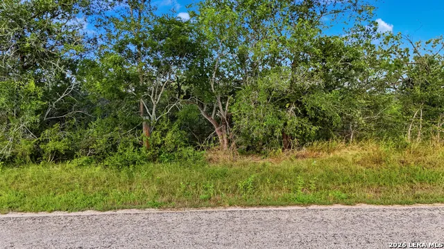 385 Marrou Rd (Lot 1) Seguin, TX 78155