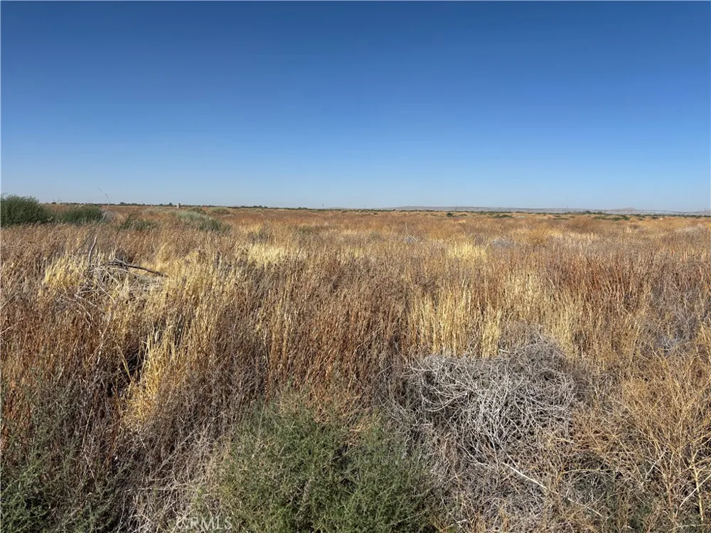 60th Roosevelt, CA 93535