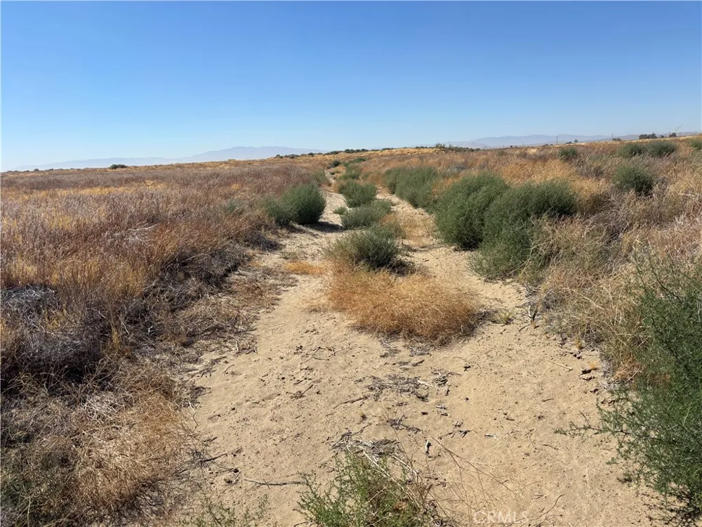 60th Roosevelt, CA 93535