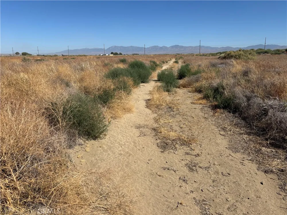 60th Roosevelt, CA 93535