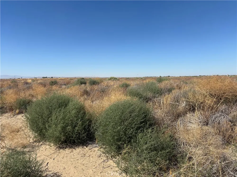 60th Roosevelt, CA 93535