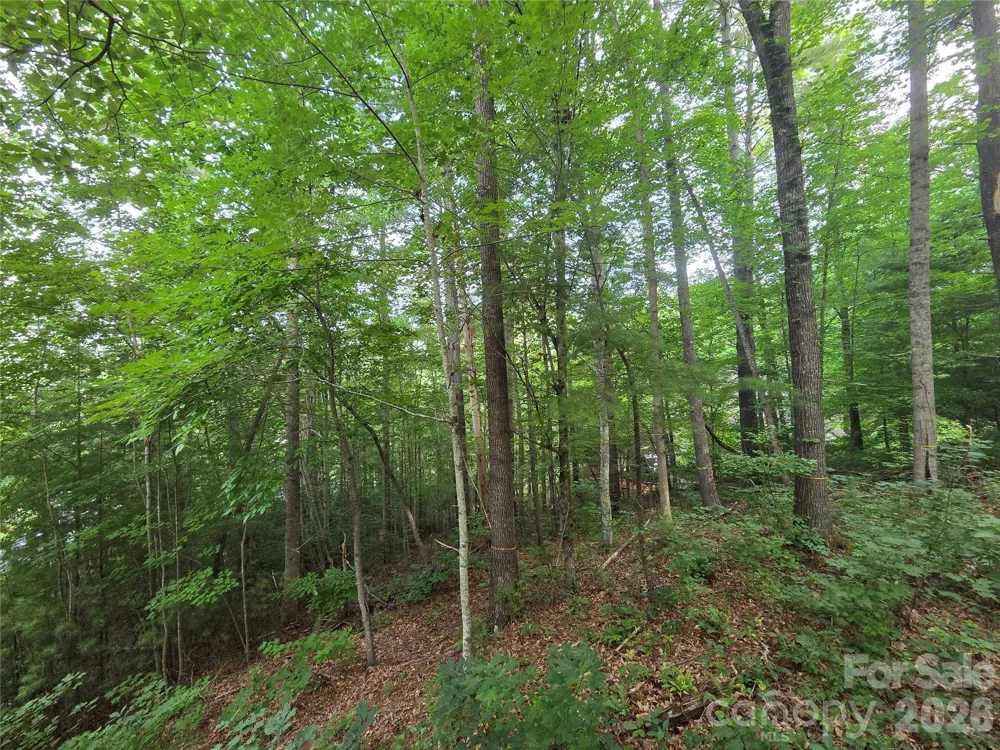 16 Courseview Drive Weaverville, NC 28787