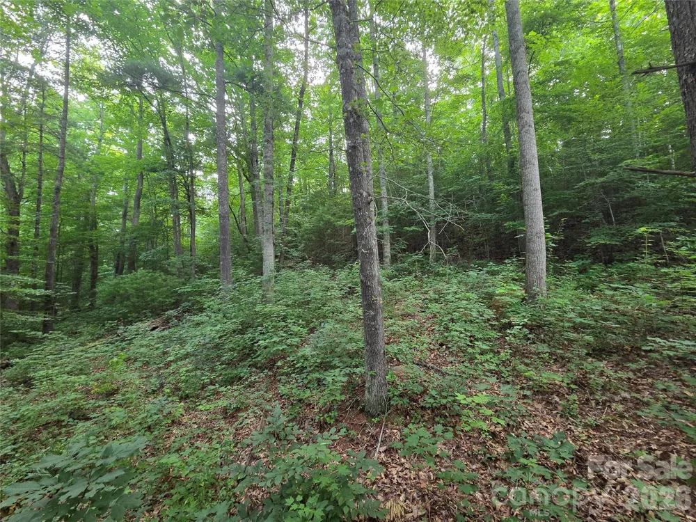 16 Courseview Drive Weaverville, NC 28787