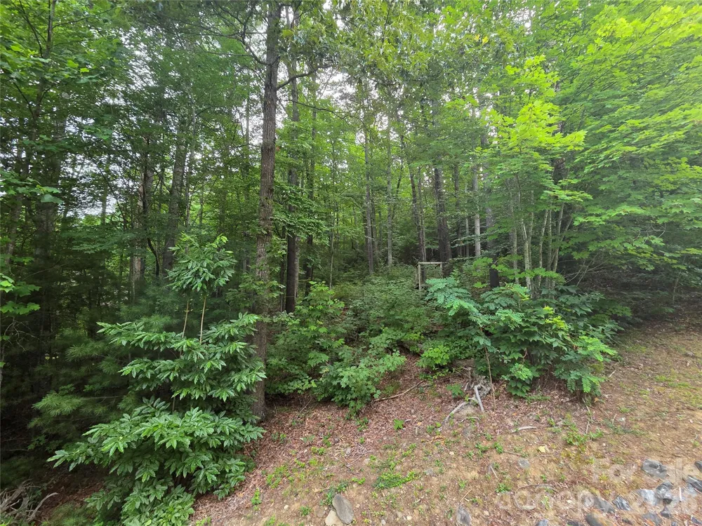 16 Courseview Drive Weaverville, NC 28787