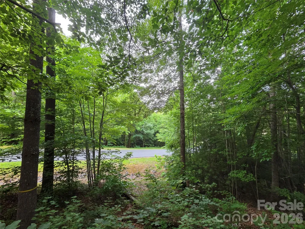 16 Courseview Drive Weaverville, NC 28787