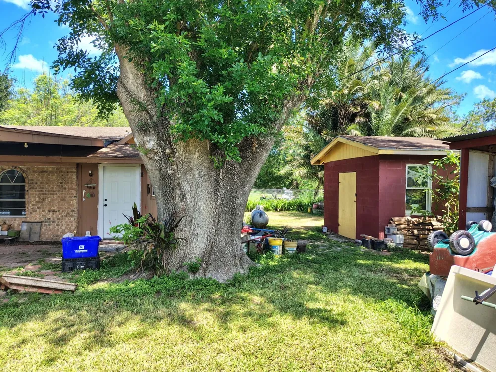 31984 Roberto Street Rio Hondo, TX 78583