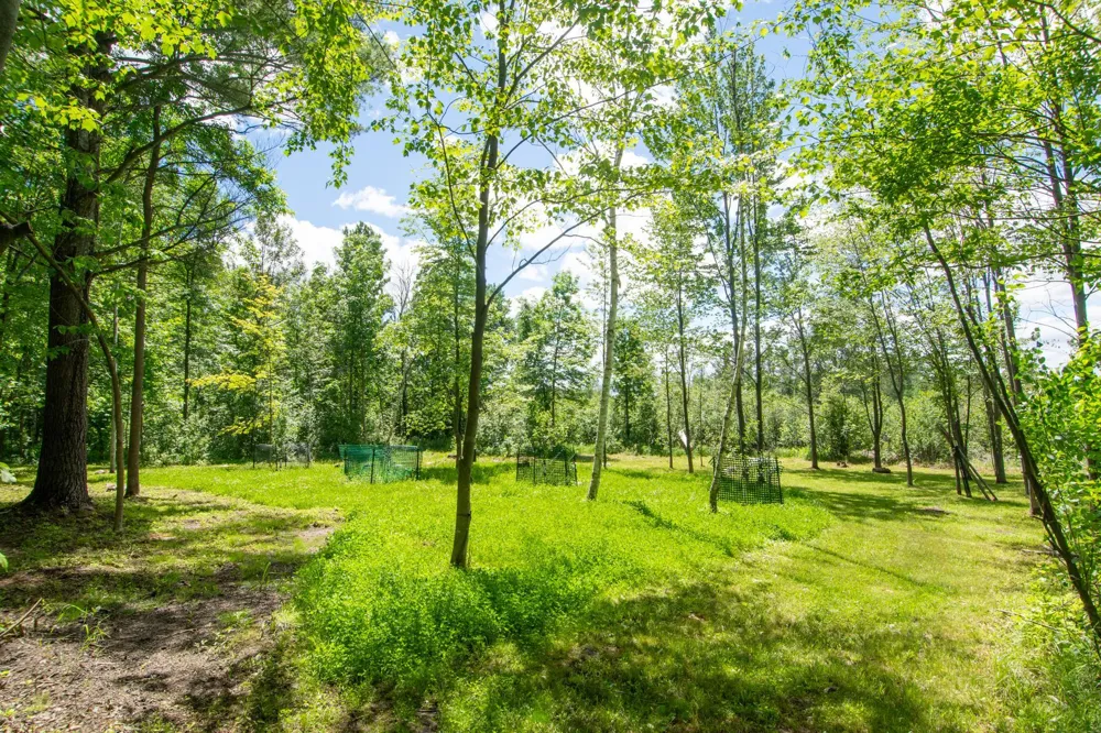 15415 Goshawk Street Tamarack, MN 55787