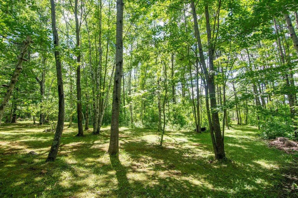 15415 Goshawk Street Tamarack, MN 55787