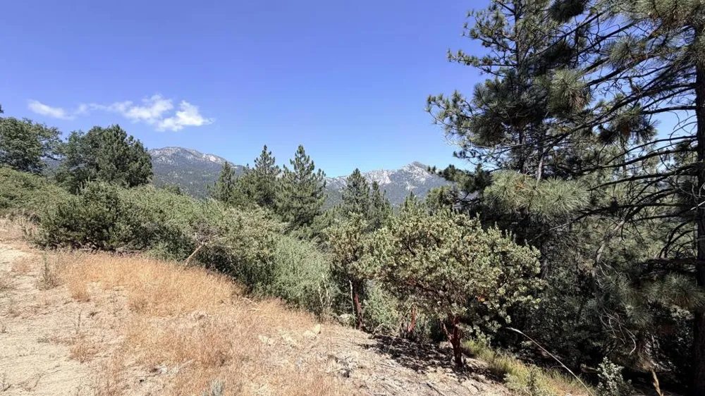 Big Rock Idyllwild, CA 92549