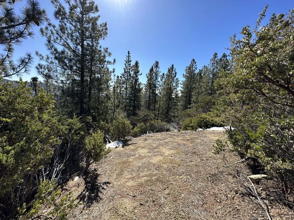 Big Rock Idyllwild, CA 92549