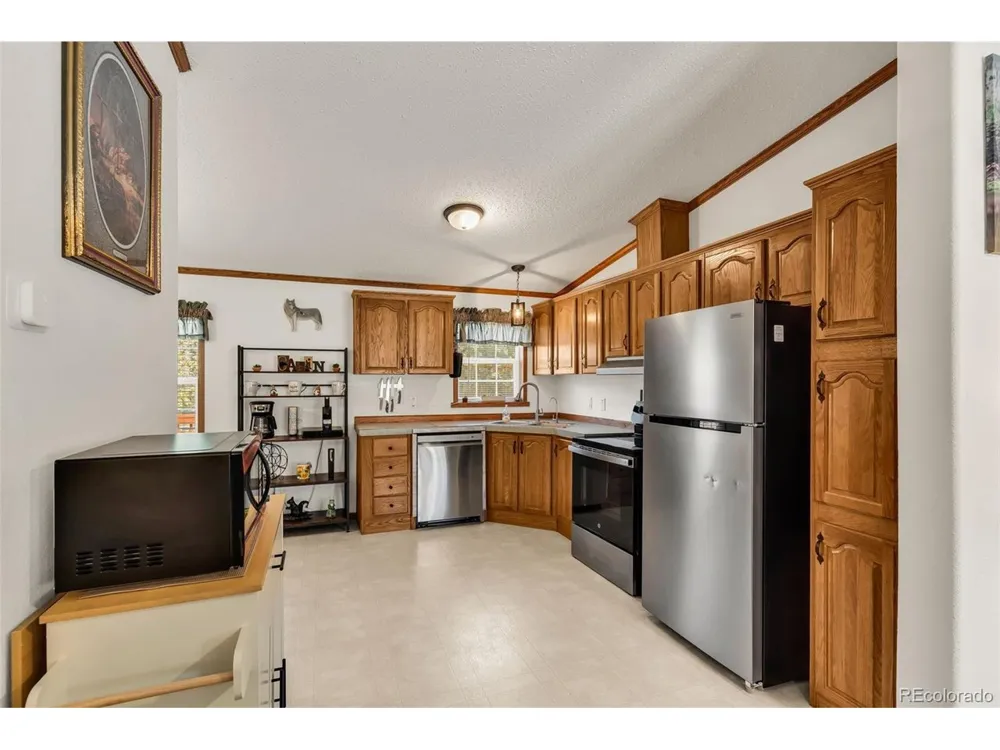 1576 I Path Cotopaxi, CO 81223
