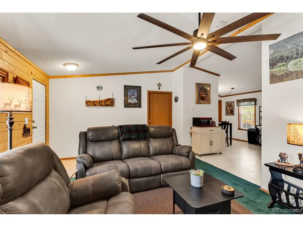 1576 I Path Cotopaxi, CO 81223