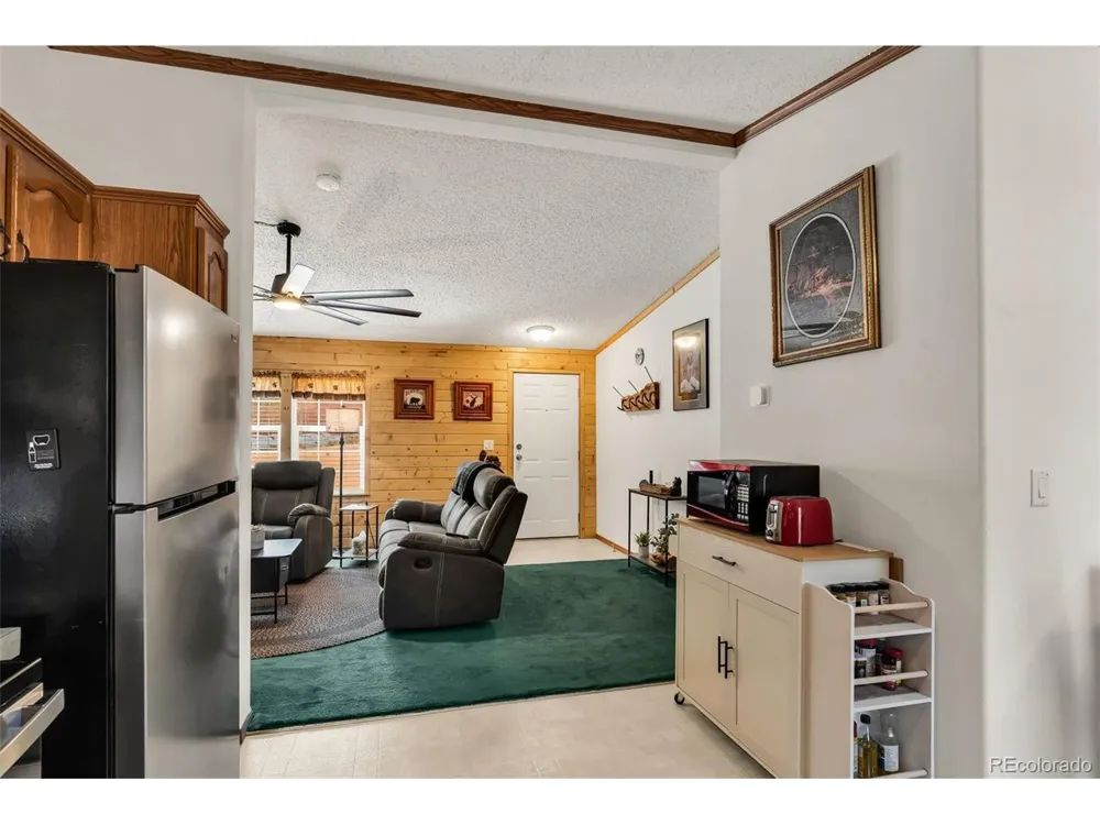 1576 I Path Cotopaxi, CO 81223