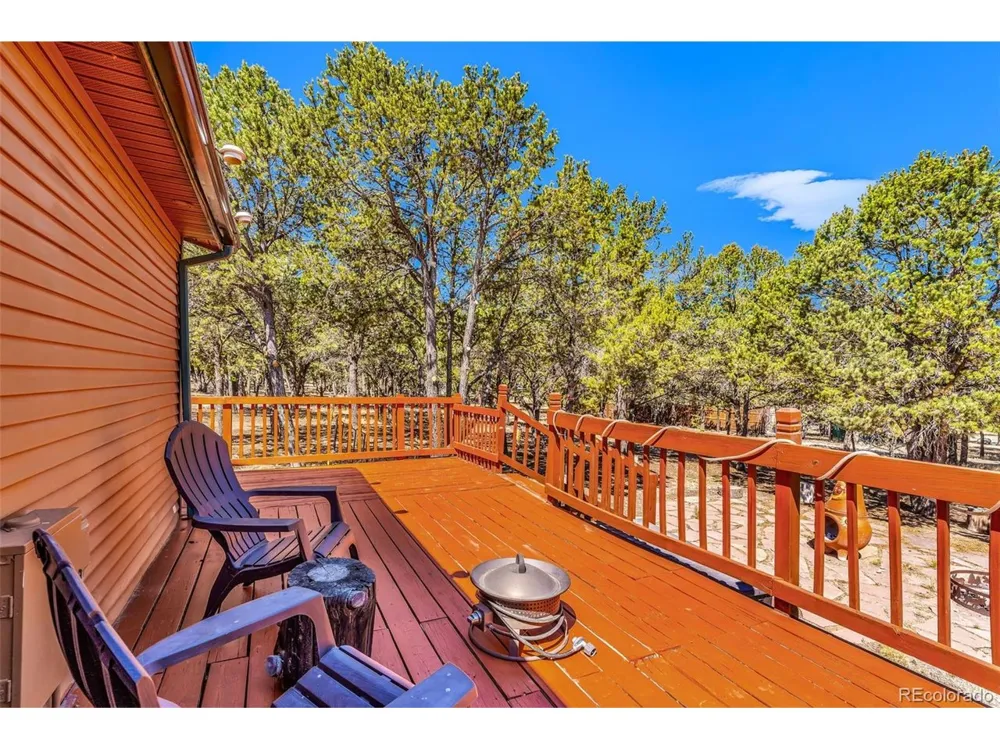 1576 I Path Cotopaxi, CO 81223