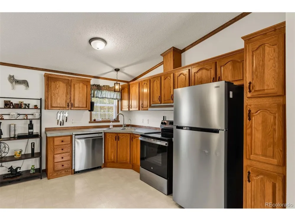 1576 I Path Cotopaxi, CO 81223