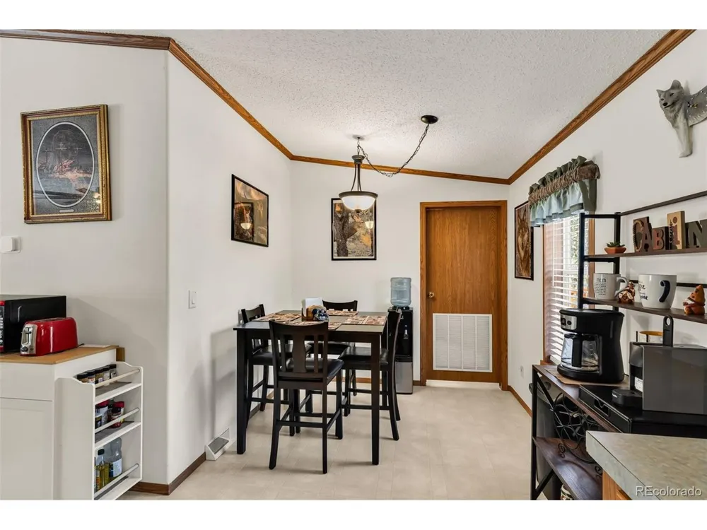 1576 I Path Cotopaxi, CO 81223