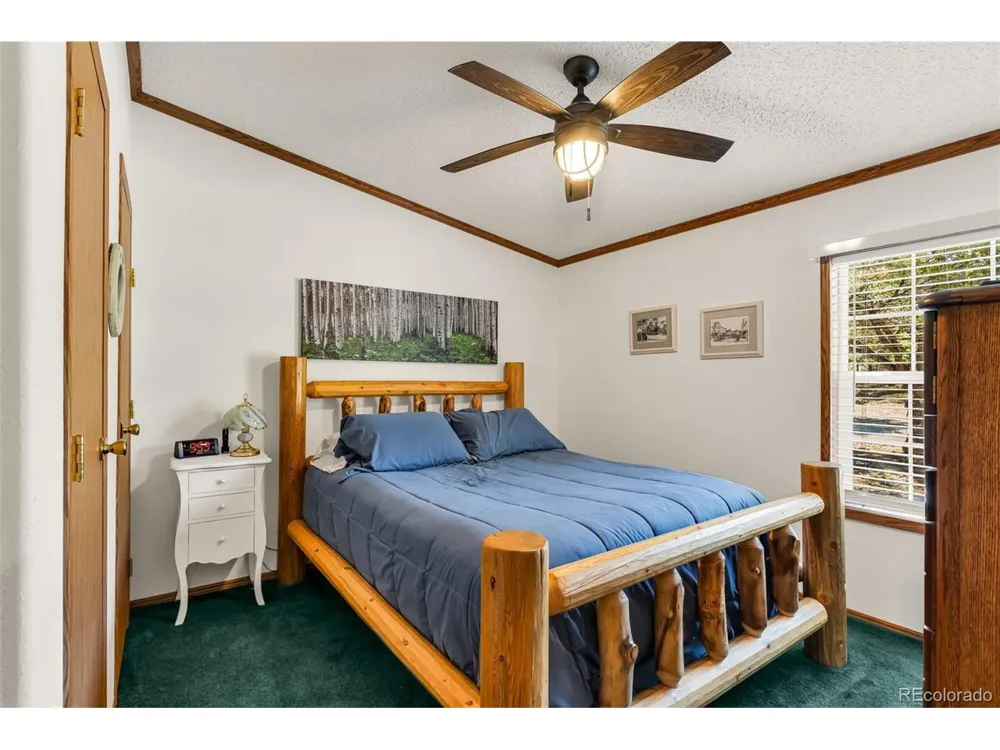1576 I Path Cotopaxi, CO 81223