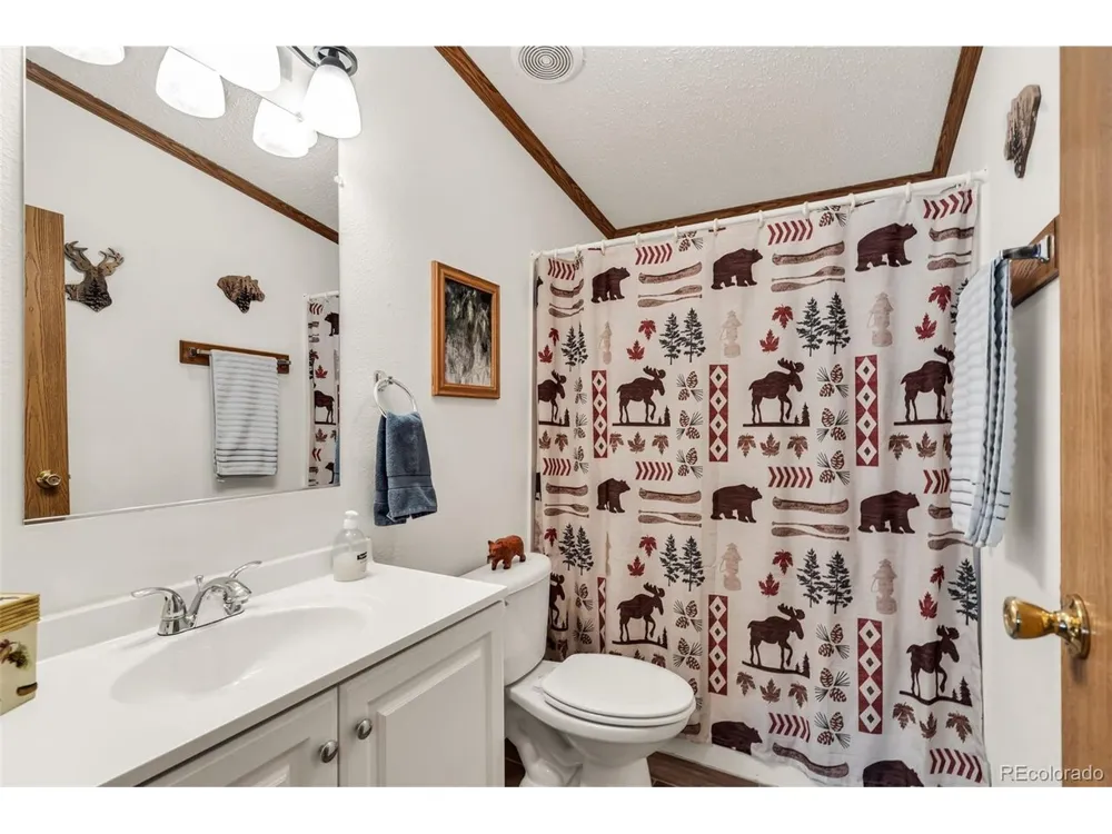 1576 I Path Cotopaxi, CO 81223