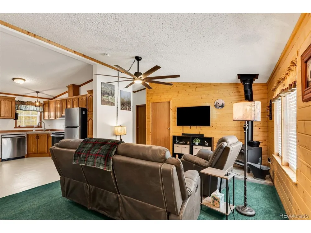 1576 I Path Cotopaxi, CO 81223