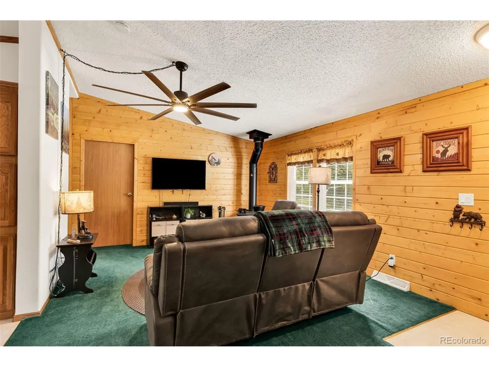1576 I Path Cotopaxi, CO 81223