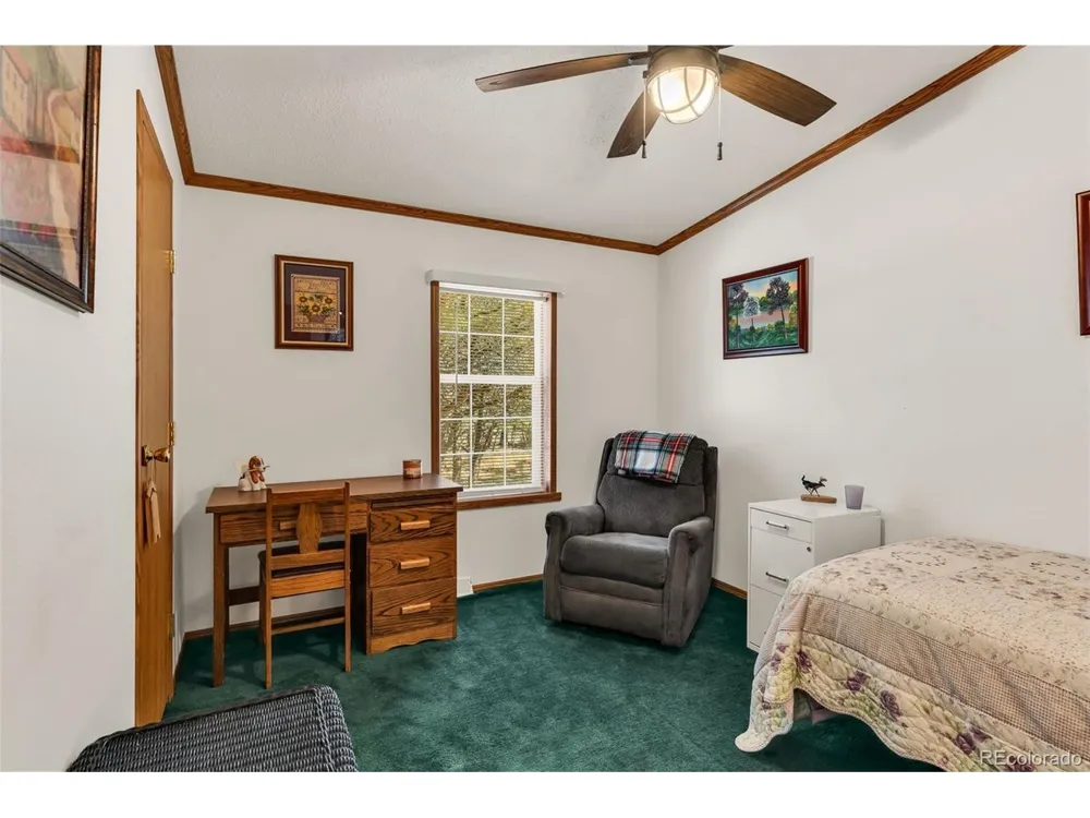 1576 I Path Cotopaxi, CO 81223
