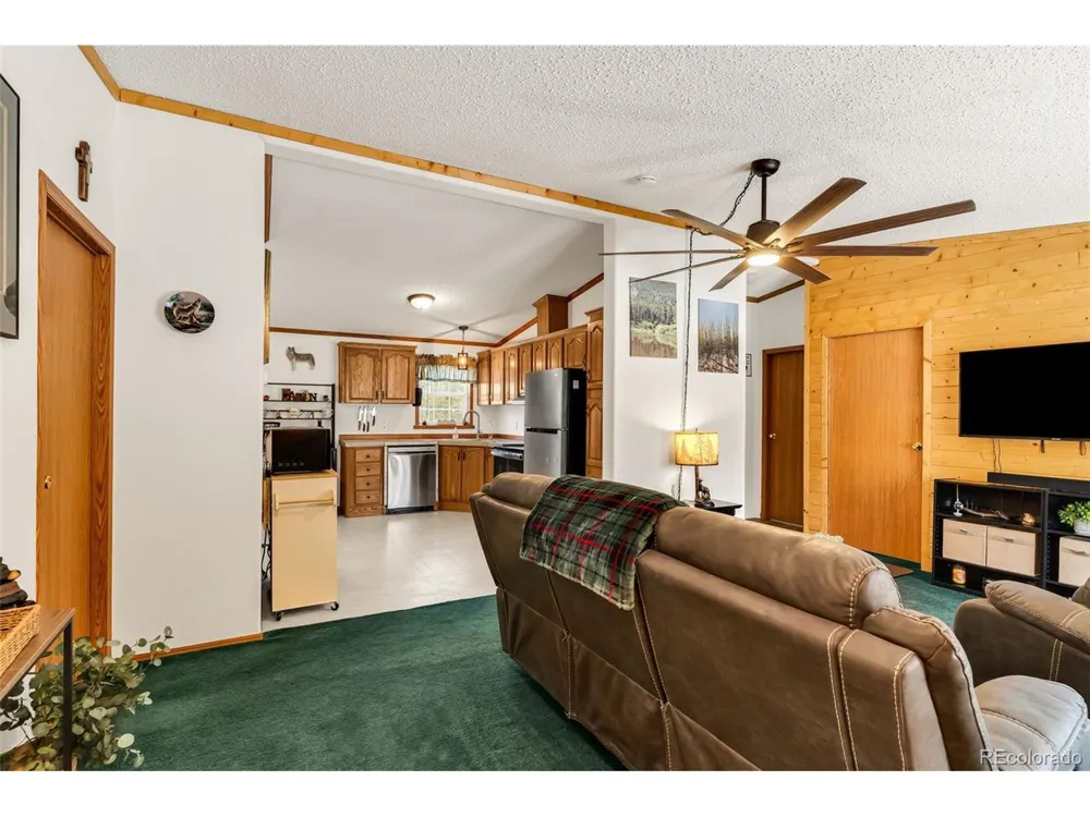 1576 I Path Cotopaxi, CO 81223