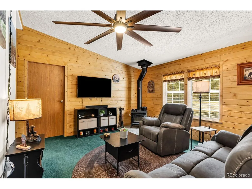 1576 I Path Cotopaxi, CO 81223