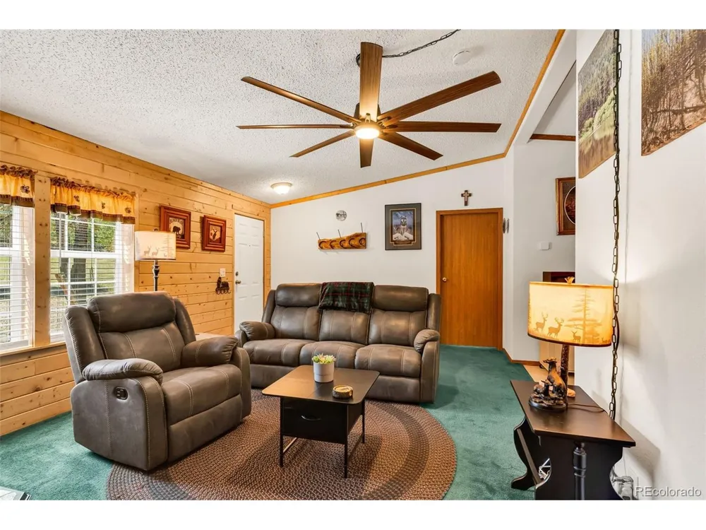 1576 I Path Cotopaxi, CO 81223