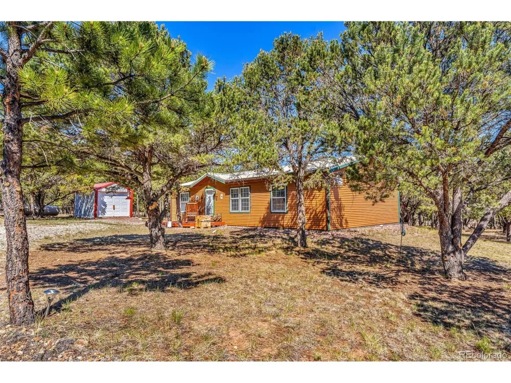 1576 I Path Cotopaxi, CO 81223