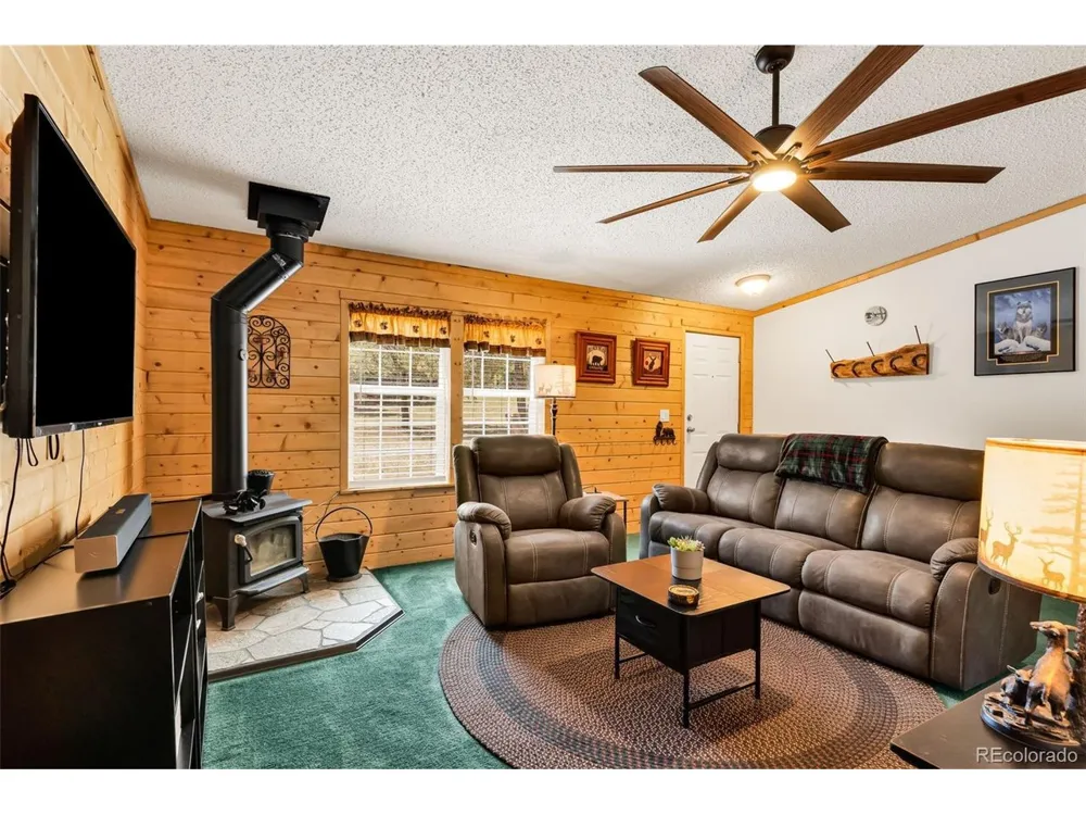 1576 I Path Cotopaxi, CO 81223