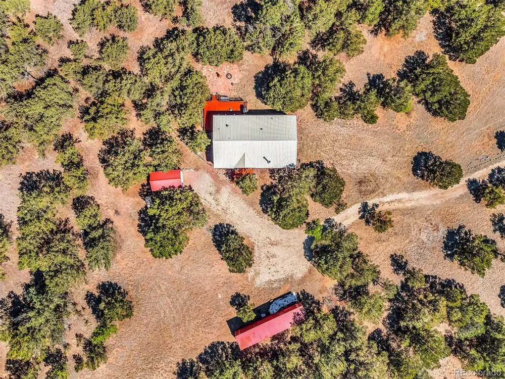 1576 I Path Cotopaxi, CO 81223