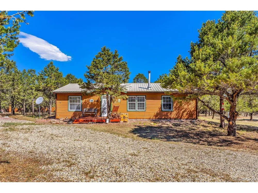 1576 I Path Cotopaxi, CO 81223