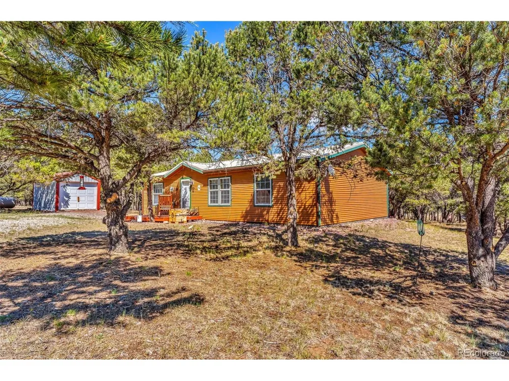 1576 I Path Cotopaxi, CO 81223