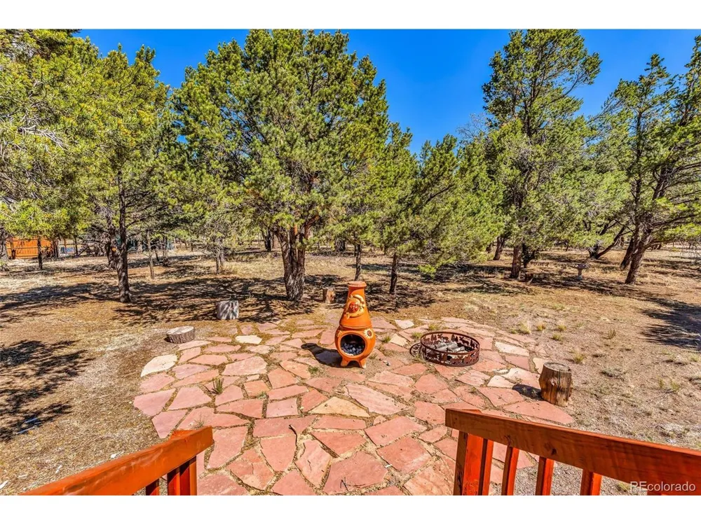 1576 I Path Cotopaxi, CO 81223