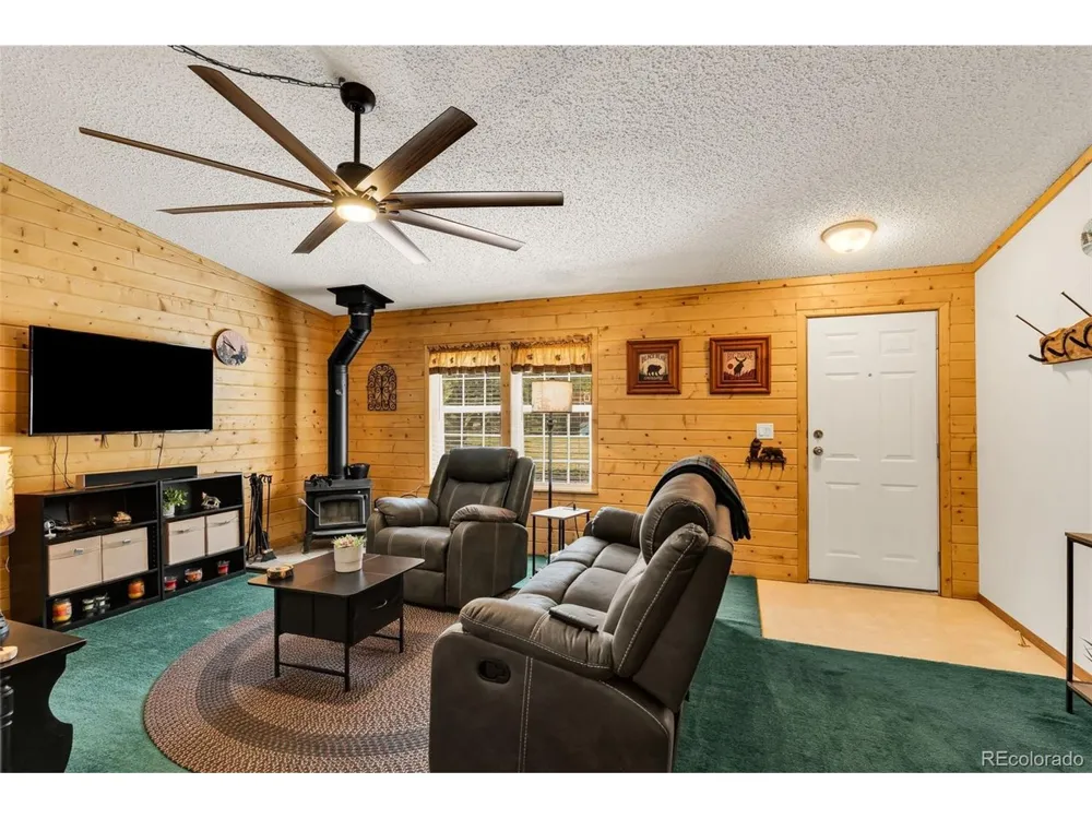 1576 I Path Cotopaxi, CO 81223