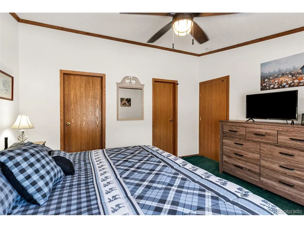 1576 I Path Cotopaxi, CO 81223