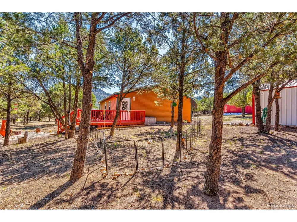1576 I Path Cotopaxi, CO 81223