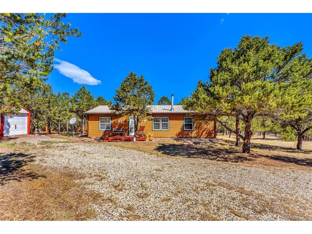 1576 I Path Cotopaxi, CO 81223
