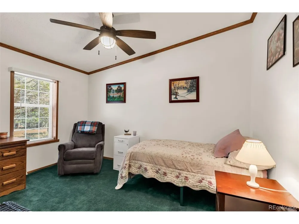1576 I Path Cotopaxi, CO 81223
