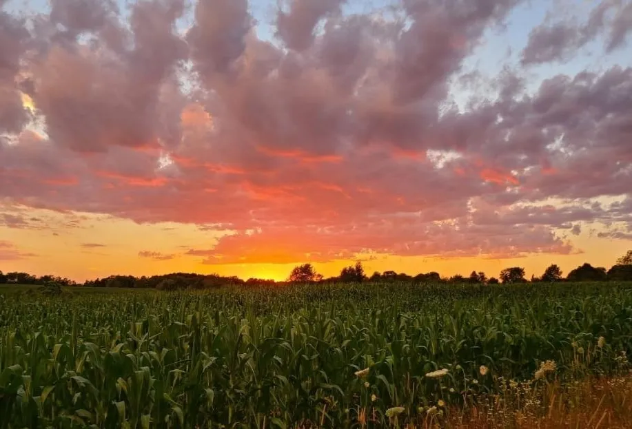 7615 Pleasant Hill Road Banks Township, MI 49729