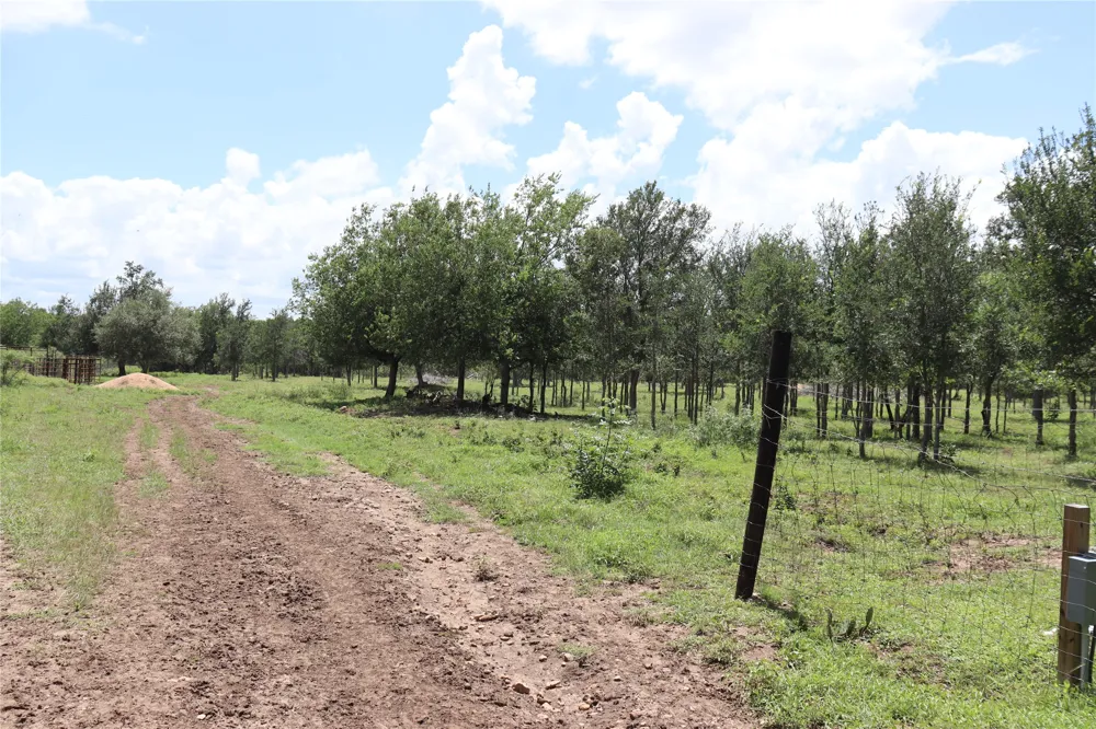 1220 Brushy Branch Road Lockhart, TX 78644